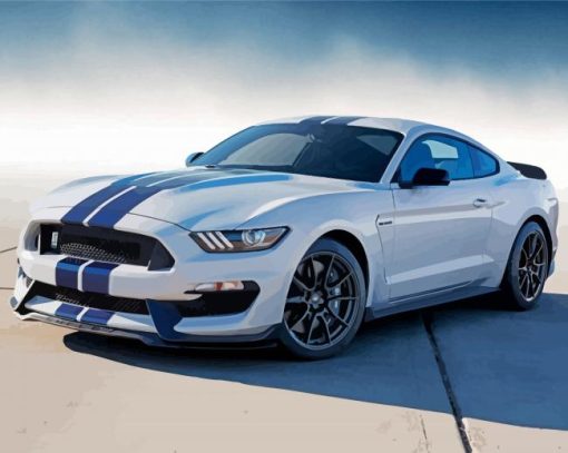 Aesthetic Shelby Gt 350 Paint By Numbers