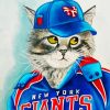 Aesthetic Baseball Cat Paint By Numbers