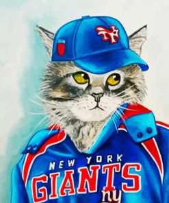 Aesthetic Baseball Cat Paint By Numbers