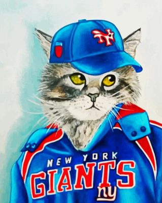 Aesthetic Baseball Cat Paint By Numbers