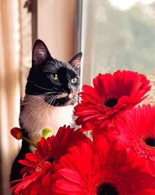 Aesthetic Black Cat With Red Flowers Paint By Numbers