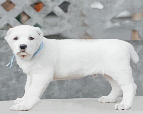 Alabai White Dog Paint By Number