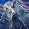 American Flag Wolves Paint By Numbers