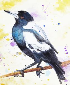 Australian Magpie Splatter Art Paint By Numbers