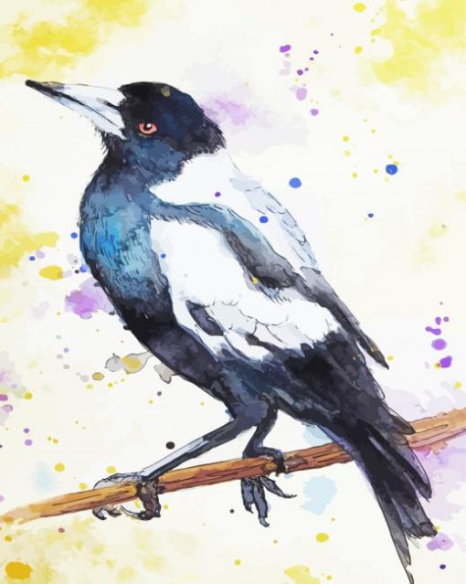 Australian Magpie Splatter Art Paint By Numbers