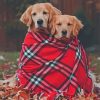 Autumn Golden Retriever Dogs Paint By Numbers