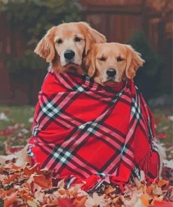 Autumn Golden Retriever Dogs Paint By Numbers