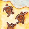 Baby Turtles By Sea Paint By Numbers