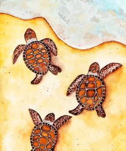 Baby Turtles By Sea Paint By Numbers