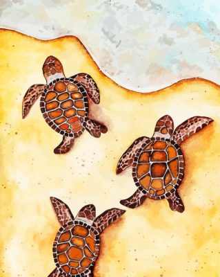 Baby Turtles By Sea Paint By Numbers