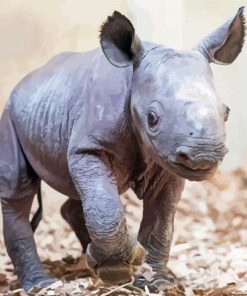 Baby Rhino Animal Paint By Numbers