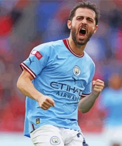 Bernardo Silva Paint By Numbers