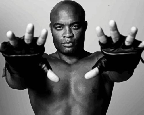 Black And White Anderson Silva Paint By Numbers