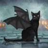 Black Bat Cat Paint By Numbers