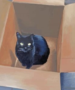 Black Cat In A Box Paint By Numbers