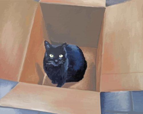 Black Cat In A Box Paint By Numbers