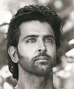 Black And White Hrithik Roshan Paint By Numbers