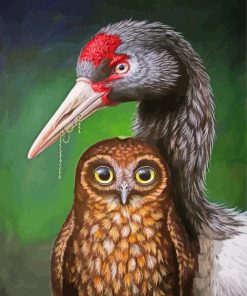 Black Necked Crane And Owl Paint By Numbers