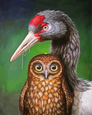 Black Necked Crane And Owl Paint By Numbers