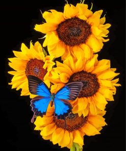 Blue Butterfly On Sunflowers Paint By Numbers