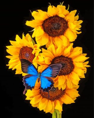 Blue Butterfly On Sunflowers Paint By Numbers