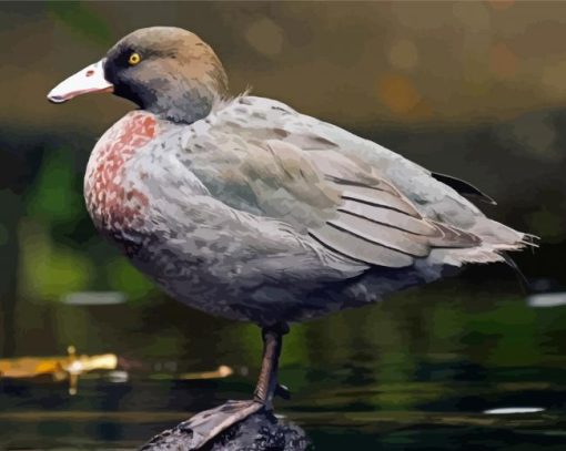 Blue Duck Bird Paint By Numbers