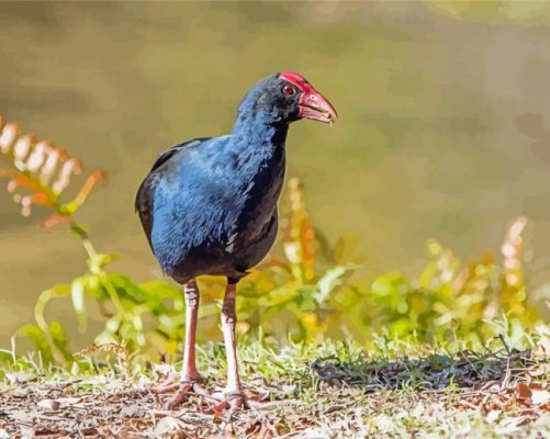 Blue Pukeko Bird Paint By Numbers