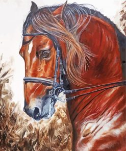 Brown Lusitano Horse Art Paint By Numbers