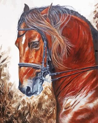 Brown Lusitano Horse Art Paint By Numbers