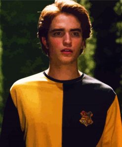 Cedric Diggory Hufflepuff Paint By Numbers