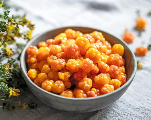 Cloudberry Bowl Paint By Number