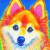 Colorful Pomeranian Paint By Numbers