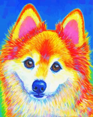 Colorful Pomeranian Paint By Numbers