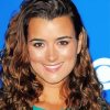 Cote De Pablo Chilean American Actress Paint By Numbers