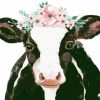 Cute Cow Wearing Flower Crown Paint By Numbers