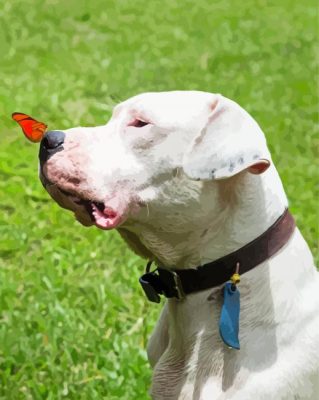 Dogo Argentino And Butterfly Paint By Numbers