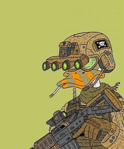 Duck Soldier Paint By Numbers