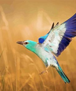 European Roller Bird Paint By Numbers