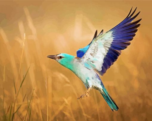 European Roller Bird Paint By Numbers