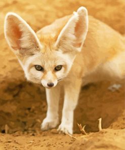 Fennec Fox Animal Paint By Numbers