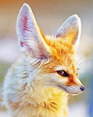 Fennec Fox Paint By Numbers