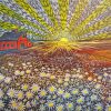 Field Of Daisies At Sunrise Paint By Numbers