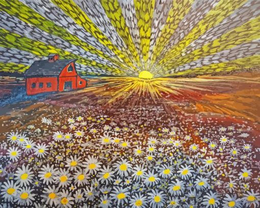 Field Of Daisies At Sunrise Paint By Numbers