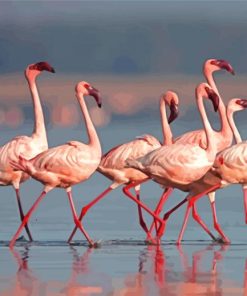 Flamingos Lake Nakuru Paint By Numbers