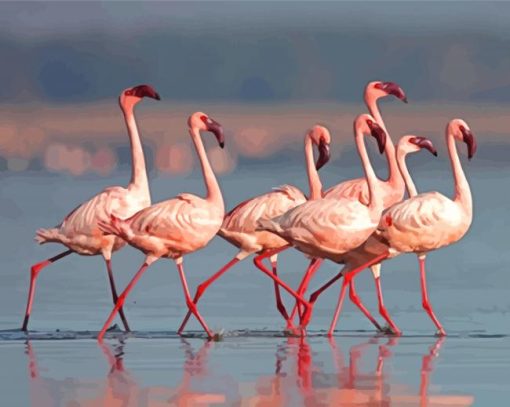 Flamingos Lake Nakuru Paint By Numbers