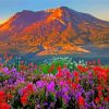 Flowers And Mountains Paint By Numbers