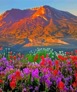 Flowers And Mountains Paint By Numbers