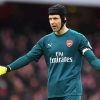 Football Player Petr Cech Paint By Numbers