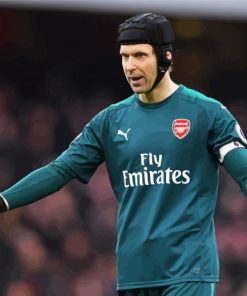 Football Player Petr Cech Paint By Numbers