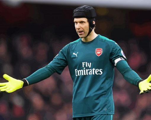 Football Player Petr Cech Paint By Numbers